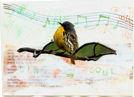 A songbird for Ellen